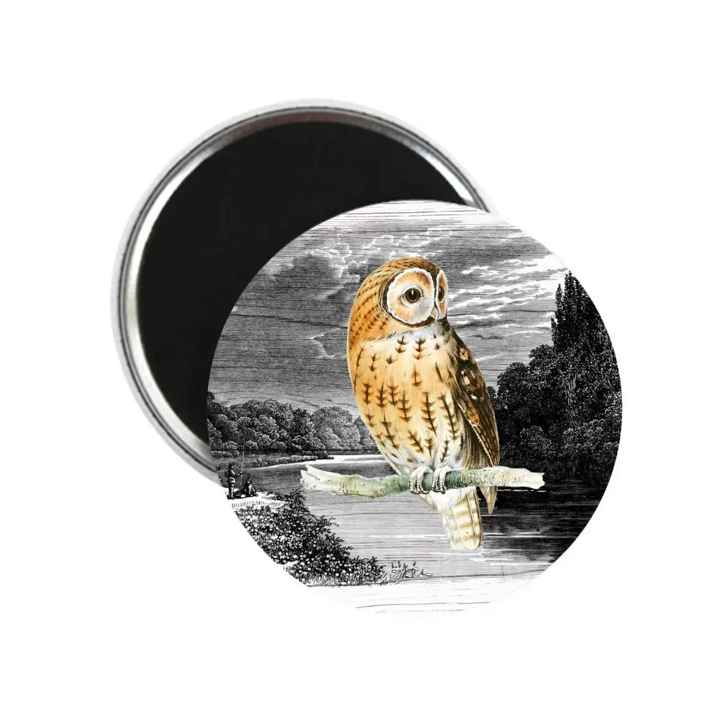 Night Owl In Moonlight Moody Bird Nature Fridge Magnet 59mm 2.32in - EMU Works