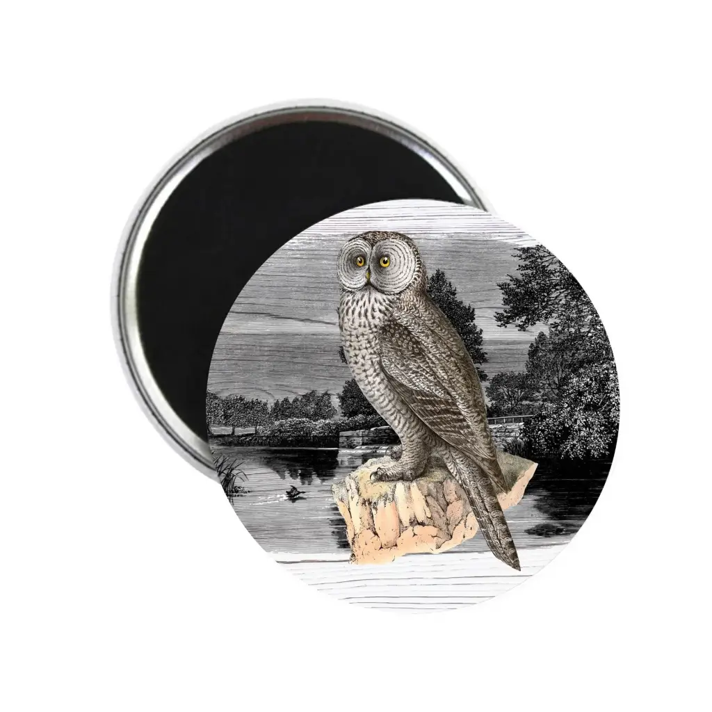 Night Owl In Moonlight Moody Bird Nature Fridge Magnet 59mm 2.32in - EMU Works