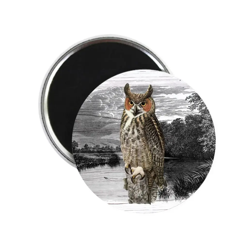 Night Owl In Moonlight Moody Bird Nature Fridge Magnet 59mm 2.32in - EMU Works