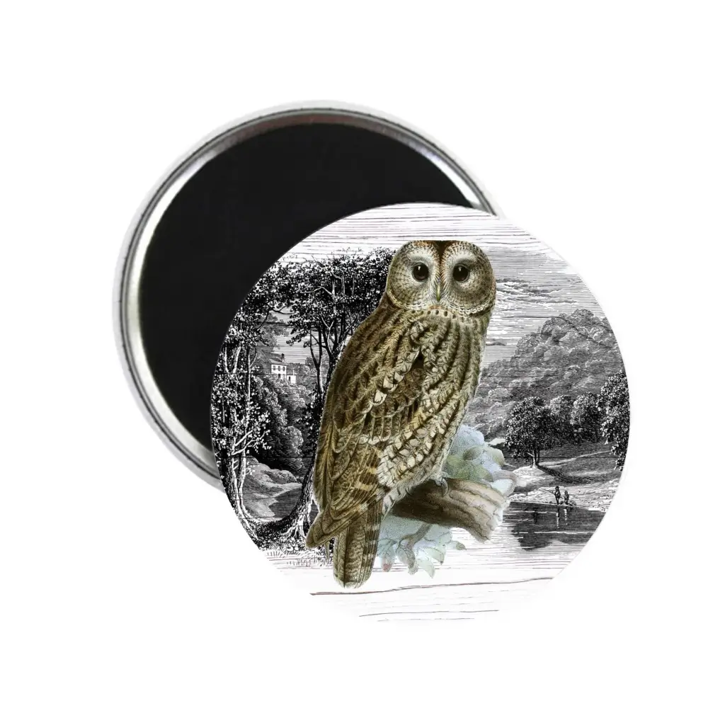 Night Owl In Moonlight Moody Bird Nature Fridge Magnet 59mm 2.32in - EMU Works
