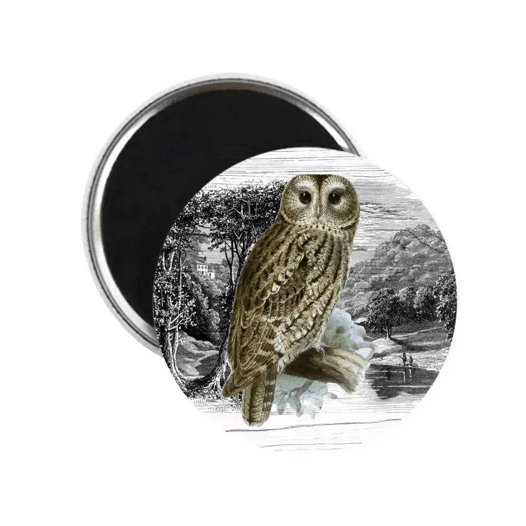 Delightful owl fridge magnet showing a wise owl on a branch, creating a whimsical touch to your fridge or workspace.