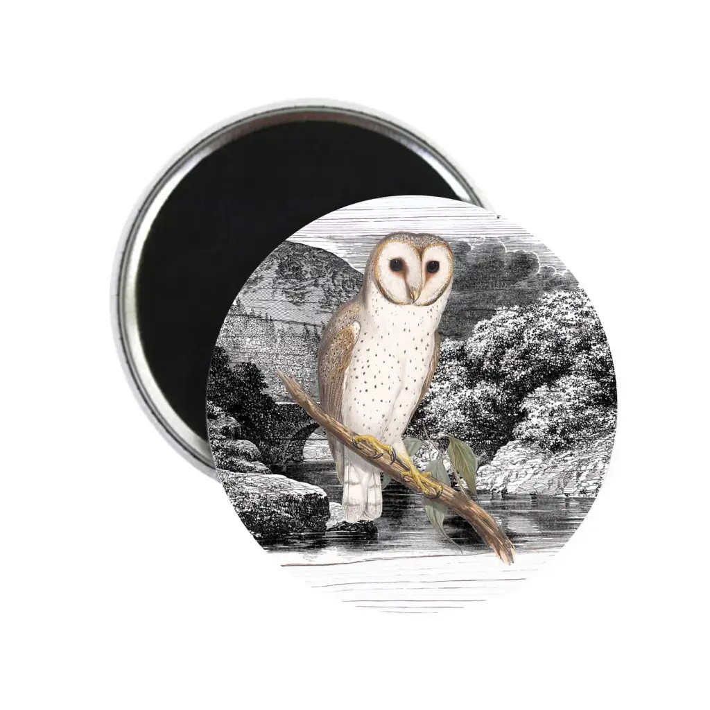Night Owl In Moonlight Moody Bird Nature Fridge Magnet 59mm 2.32in - EMU Works